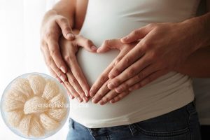 Bầu ba tháng đầu có nên ăn yến không