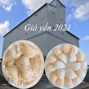 giá yến 2021