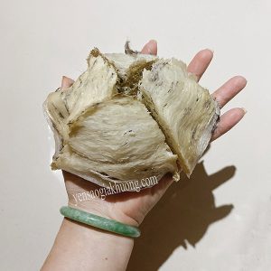 Yến sào Kiên Giang