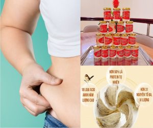 Yến sào giúp giảm cân không
