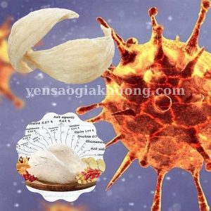 Công dụng yến sào mùa Covid