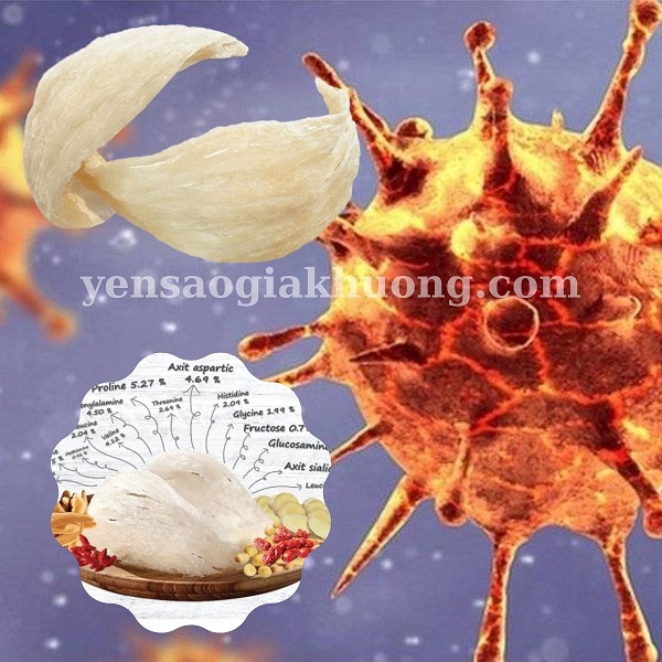 Công dụng yến sào mùa Covid