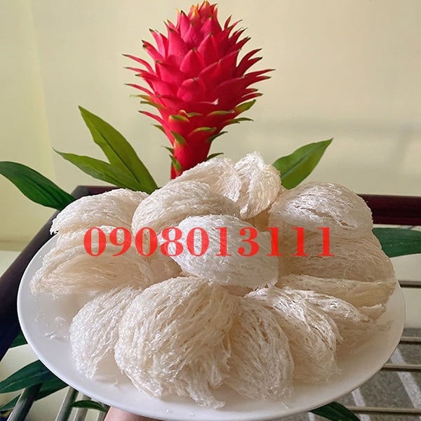 Yến sào rút lông định hình
