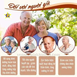 Công dụng yến sào cho người cao tuổi