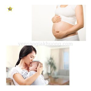 Công dụng của yến sào trước và sau sinh