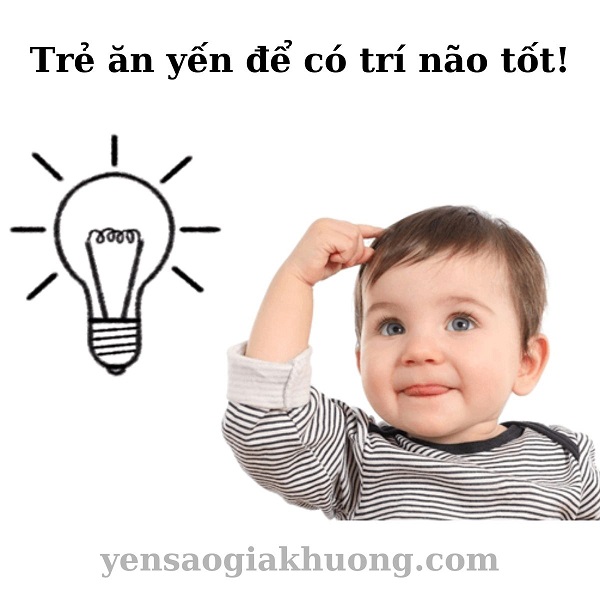 Trẻ ăn yến để có trí não tốt